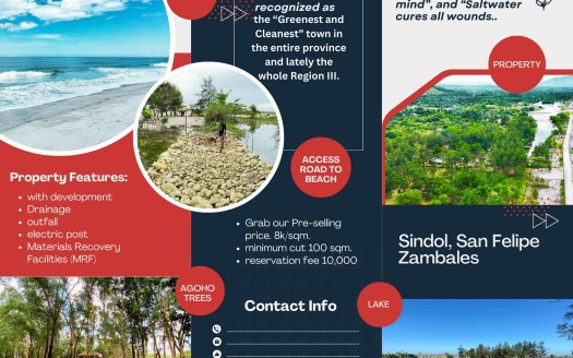 Beach Front Lots