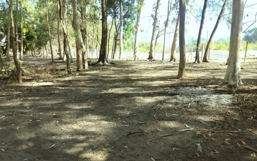 Beach Front Lots