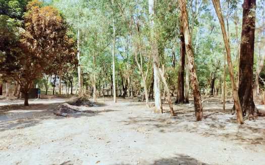 Beach Middle Lots